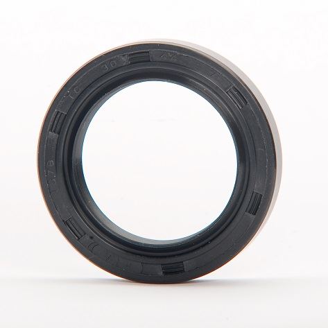 G 52x100x10 HMSA10 RG - hřídelové těsnění dvoubřité NBR